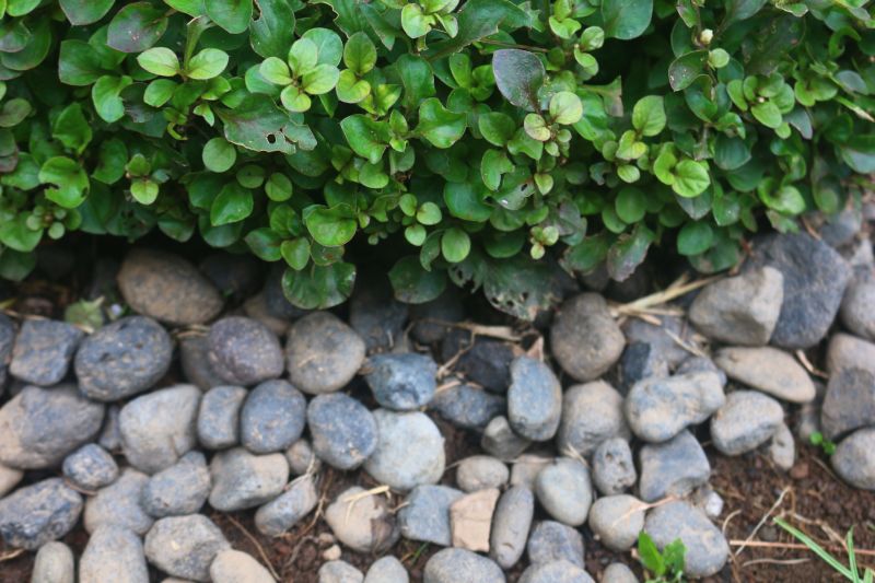 River Rock Landscape Design