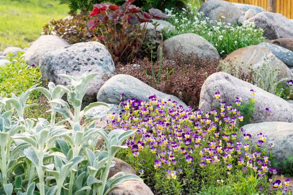 River Rocks Landscaping - River Rocks Landscaping Plano, Texas